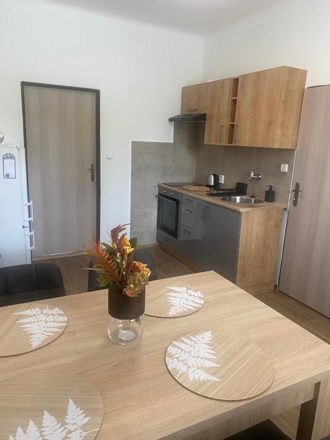 Cerna Ruze - Apartman 3 Plzeň Esterno foto